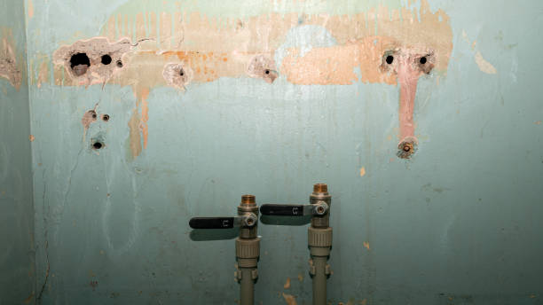 Best Water damage restoration near me  in Lazy Mountain, AK