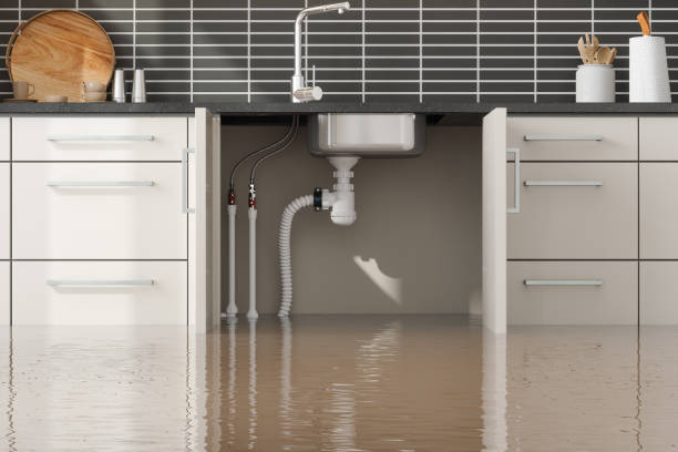 Best Water damage restoration near me  in Lazy Mountain, AK